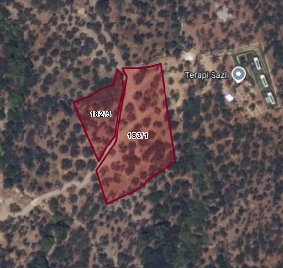 Sazlı Köyü Sahilde Yol Cepheli Deniz ve Doğa Manzaralı Zeytinlik